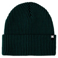 dc_shoes_title_beanie_botanical_garden_1