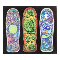 santa_cruz_winkowski_magnet_set_multi_1