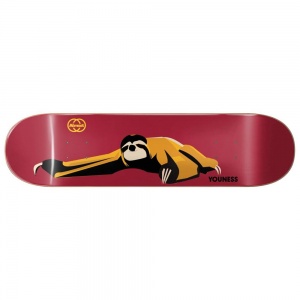 almost_skate_deck_animals_youness_amrani_r7_8_25_3