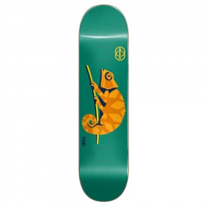 almost_skate_deck_animals_yuri_facchini_r7_8_125_1