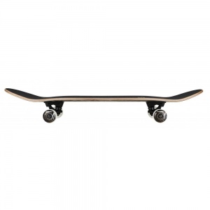 birdhouse_complete_stage_3_hawk_wings_black_7_75_2