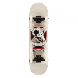 birdhouse_skull_stage_3_complete_7_75_1