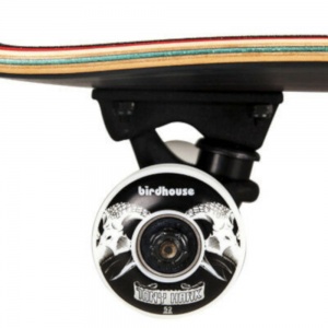 birdhouse_skull_stage_3_complete_7_75_4