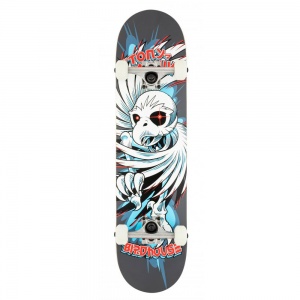 birdhouse_stage_1_hawk_spiral_grey_7_75_1