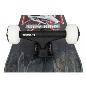 birdhouse_stage_3_skull_ii_4