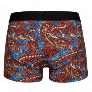 boxer_american_socks_underwear_shenron_2