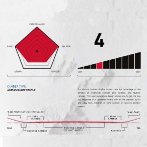 capita_birds_of_a_feather_2017