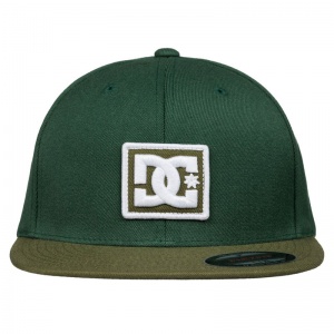 cappellino_raddest_pineneedle_solid_2