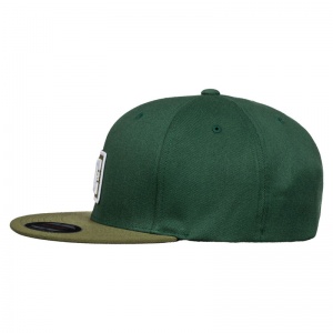 cappellino_raddest_pineneedle_solid_3
