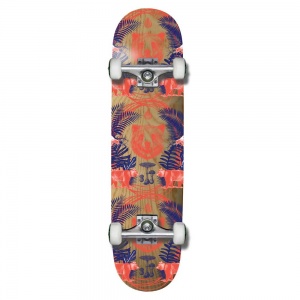 complete_skateboard_grizzly_animal_kingdom_8_0_1