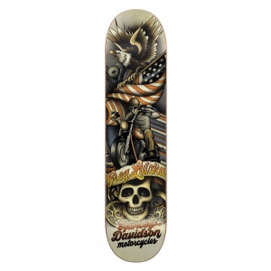 darkstar_harley_davidson_pro_greg_lutzka_8_125_1_339634583