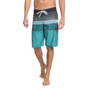 dc_shoes_boardshort_kuseck_21_teal_4