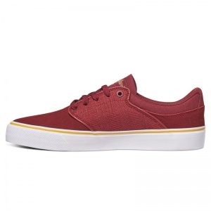 dc_shoes_mikey_taylor_vulc_maroon_3