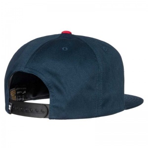dc_shoes_snappy_black_iris_2