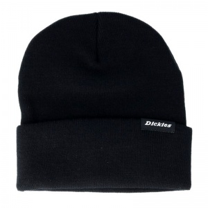 dickies_alaska_beanie_black_1_1784109927