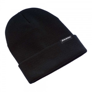 dickies_alaska_beanie_black_2_159474098