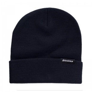 dickies_alaska_beanie_dark_navy_1_1089580146