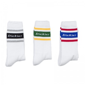 dickies_madison_heights_socks_assorted_3