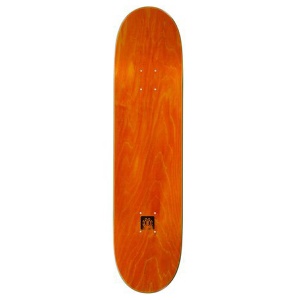 element_appleyard_stargazer_3