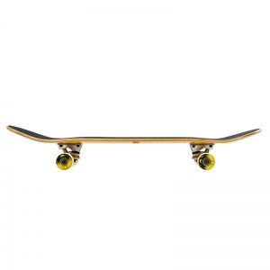 element_rise_and_shine_7_75_4