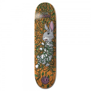 element_skateboard_deck_trapped_schaar_8_25_1