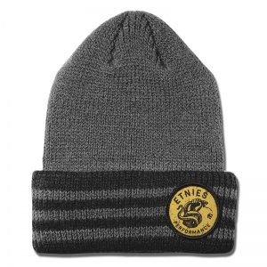 etnies_serpent_beanie_grey_heather_1