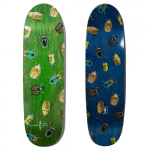 girl_cory_kennedy_beettles_v2_phawt_9_25_1_980260980