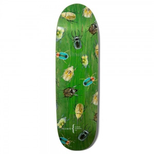 girl_cory_kennedy_beettles_v2_phawt_9_25_2