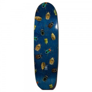 girl_cory_kennedy_beettles_v2_phawt_9_25_3_874415402