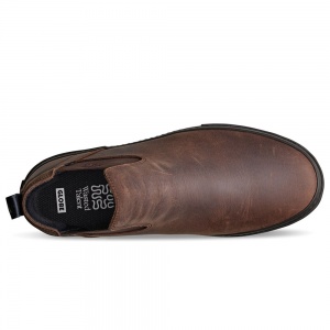 globe_dover_ii_dark_brown_wasted_talent_2