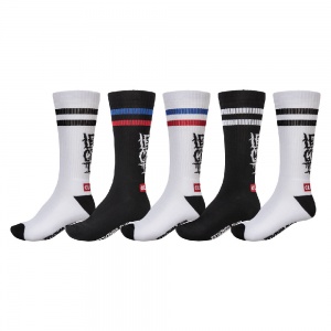 globe_lets_get_it_crew_sock_5_pack_assorted_1