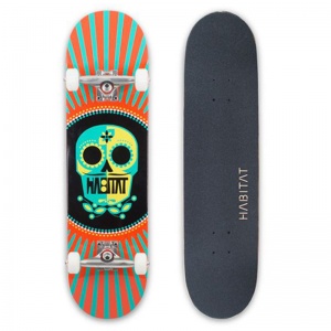 habitat_sugar_skull_3