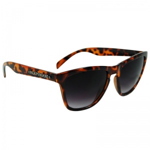 independent_havana_brown_tortoises_2