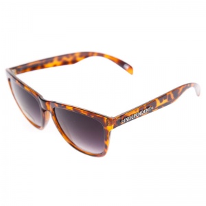 independent_havana_brown_tortoises_3