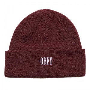 obey_times_beanie_eggplant_1