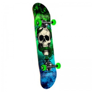 powell_peralta_mcgill_skull_and_snake_storm_green_blue_7_625_3