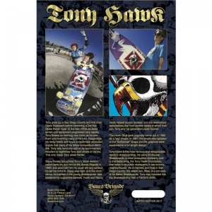 powell_peralta_tony_hawk_ltdblue_5