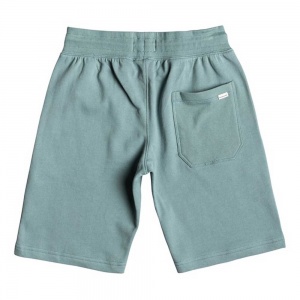 quiksilver_boys_shorts_felpato_everyday_trackshort_youth_stormy_sea_2