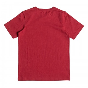 quiksilver_boys_t_shirt_classic_tee_youth_momentum_chili_pepper_2