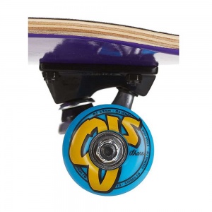 santa_cruz_classic_dot_sk8_completes_7_8_4_1394523728