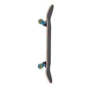 santa_cruz_classic_dot_sk8_completes_7_8_5