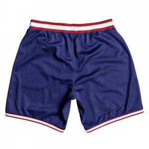 shorts_dc_shoes_eglinton_short_sodalite_blue_2