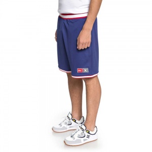 shorts_dc_shoes_eglinton_short_sodalite_blue_5