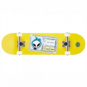 skateboard_blind_old_boney_bastard_8_25_3