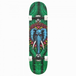 skateboard_completo_powell_peralta_vallely_elephant_birch_green_8_0_1