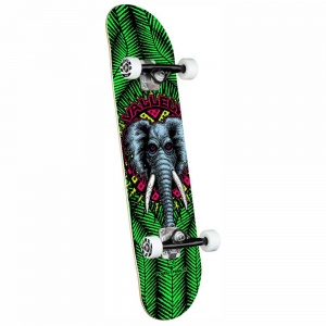 skateboard_completo_powell_peralta_vallely_elephant_birch_green_8_0_3
