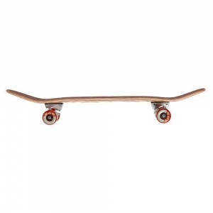 skateboard_cruiser_element_hatched_8_75_4