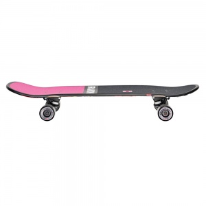 skateboard_globe_aperture_ramones_hey_ho_31_5