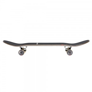 skateboard_globe_g2_ramones_ramones_7_75_4