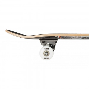 skateboard_tony_hawk_180_outrun_multi_7_75_4